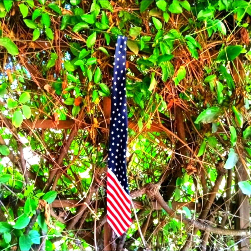 ♥️♥️♥️ American Flag tie